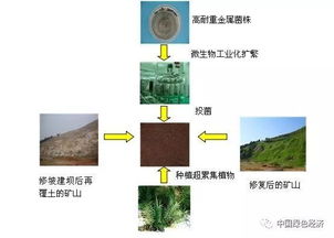 土壤修复 保护大地之基的长征