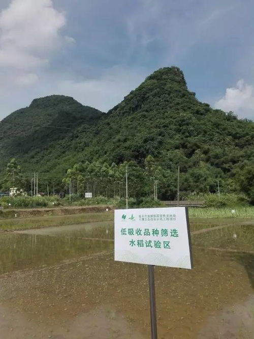 从理论到实践 第六期农田及矿山周边重金属污染土壤治理修复技术与方案编制培训圆满落幕